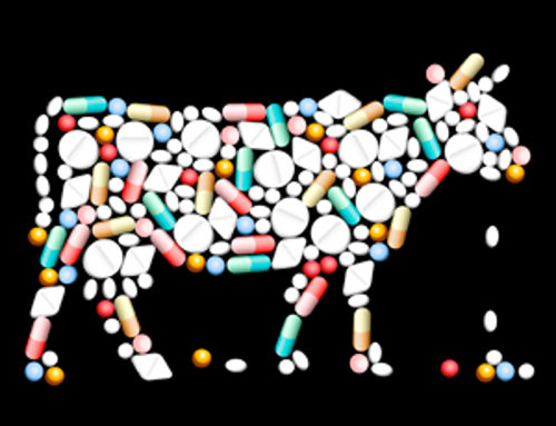 carne-con-antibiotici